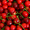 Acerola Cherry
