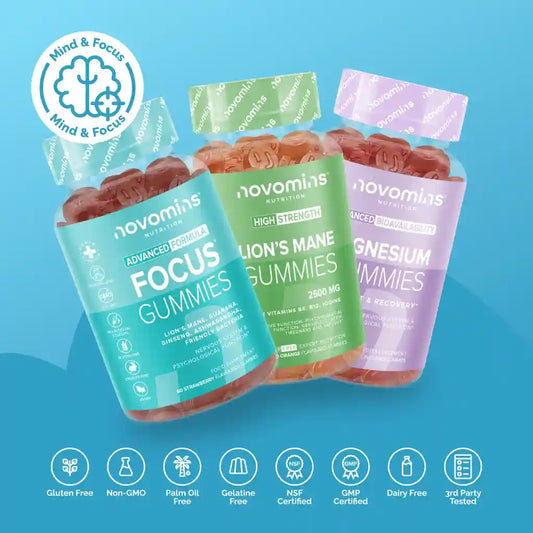 Gehirn & Fokus Bundle