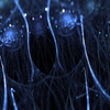 Choline