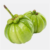 Garcinia Cambogia