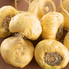 Maca