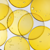 Folic Acid