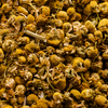 Tribulus Terrestris